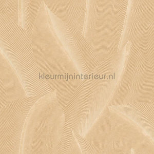Noordwand Allure AL26220 | Bestellen bij https://www.kleurmijninterieur.nl/