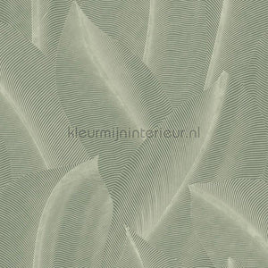 Noordwand Allure AL26221 | Bestellen bij https://www.kleurmijninterieur.nl/
