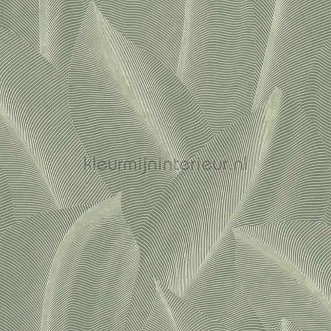Noordwand Allure AL26221 | Bestellen bij https://www.kleurmijninterieur.nl/