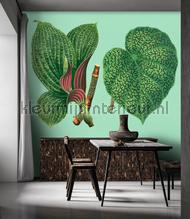 AS Creation Walls by Patel 3 DD121952 | Bestellen bij https://www.kleurmijninterieur.nl/