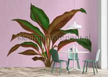 AS Creation Walls by Patel 3 DD121956 | Bestellen bij https://www.kleurmijninterieur.nl/