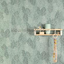 Zoom Be Happy HAP702 | Bestellen bij https://www.kleurmijninterieur.nl/