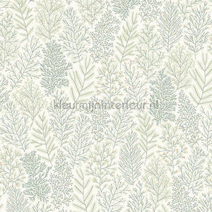 Zoom Be Happy HAP705 | Bestellen bij https://www.kleurmijninterieur.nl/