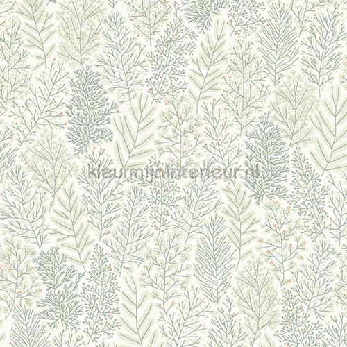 Zoom Be Happy HAP705 | Bestellen bij https://www.kleurmijninterieur.nl/