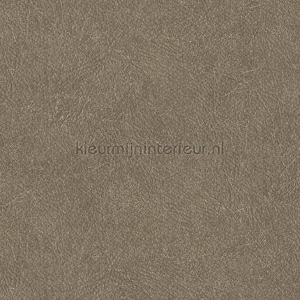 Hookedonwalls Tahiti TA25024 | Bestellen bij https://www.kleurmijninterieur.nl/