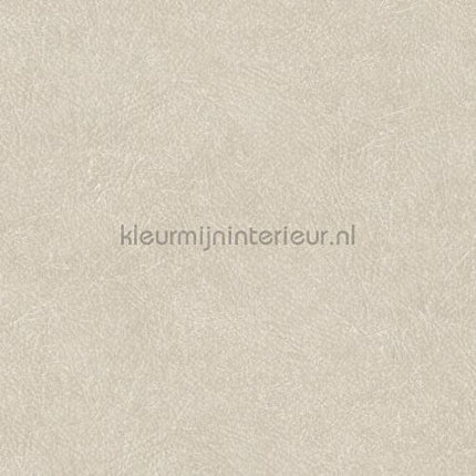 Hookedonwalls Tahiti TA25020 | Bestellen bij https://www.kleurmijninterieur.nl/
