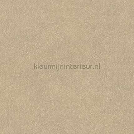 Hookedonwalls Tahiti TA25021 | Bestellen bij https://www.kleurmijninterieur.nl/