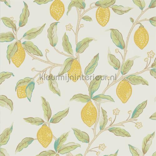 Morris and Co Archive V Melsetter 216672 | Bestellen bij https://www.kleurmijninterieur.nl/