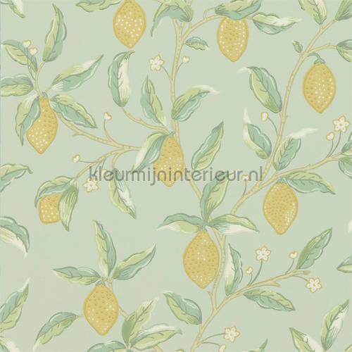 Morris and Co Archive V Melsetter 216673 | Bestellen bij https://www.kleurmijninterieur.nl/