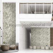 Dutch First Class Carrara 3 84603 | Bestellen bij https://www.kleurmijninterieur.nl/