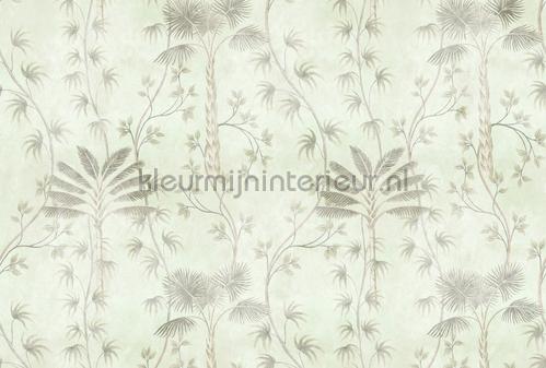AS Creation Walls by Patel 3 DD121980 | Bestellen bij https://www.kleurmijninterieur.nl/