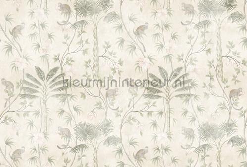 AS Creation Walls by Patel 3 DD121984 | Bestellen bij https://www.kleurmijninterieur.nl/