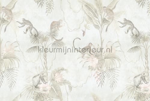 AS Creation Walls by Patel 3 DD121988 | Bestellen bij https://www.kleurmijninterieur.nl/