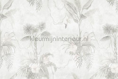 AS Creation Walls by Patel 3 DD121992 | Bestellen bij https://www.kleurmijninterieur.nl/
