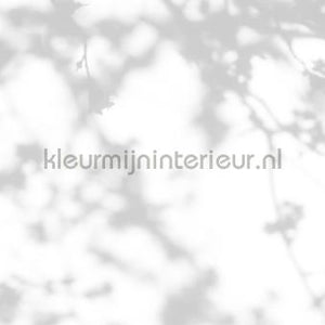 AS Creation Walls by Patel 3 DD122028 | Bestellen bij https://www.kleurmijninterieur.nl/