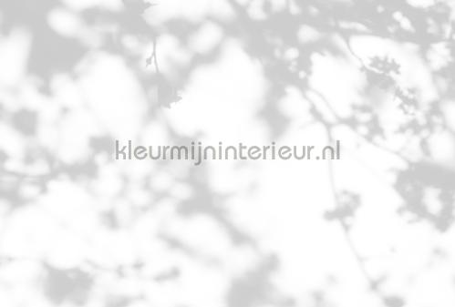AS Creation Walls by Patel 3 DD122028 | Bestellen bij https://www.kleurmijninterieur.nl/