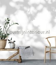 AS Creation Walls by Patel 3 DD122028 | Bestellen bij https://www.kleurmijninterieur.nl/