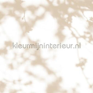 AS Creation Walls by Patel 3 DD122036 | Bestellen bij https://www.kleurmijninterieur.nl/