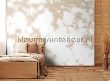 AS Creation Walls by Patel 3 DD122036 | Bestellen bij https://www.kleurmijninterieur.nl/