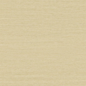LAN203 | kleurmijninterieur