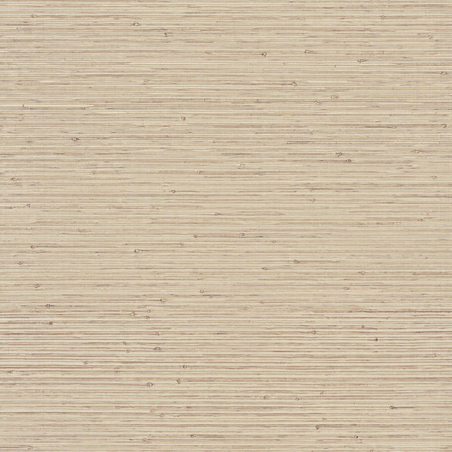 LAN221 | kleurmijninterieur
