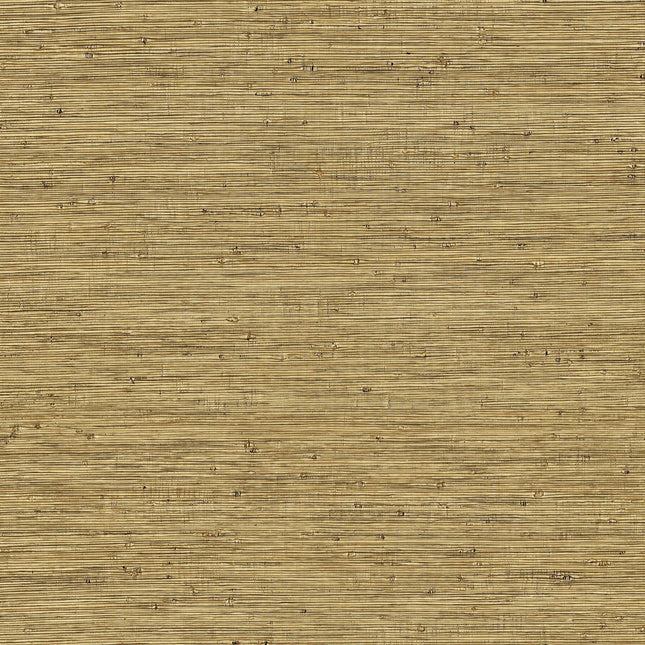 LAN222 | kleurmijninterieur