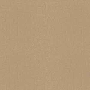 Oyster | kleurmijninterieur