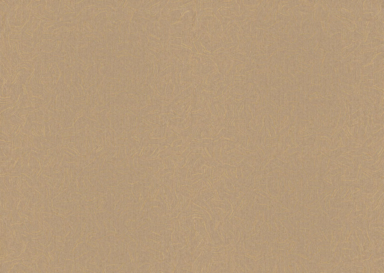 Oyster | kleurmijninterieur