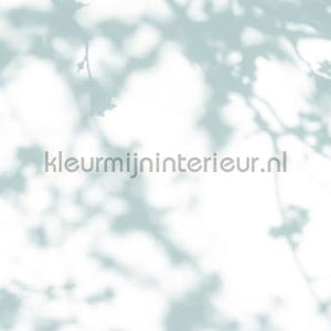 AS Creation Walls by Patel 3 DD122032 | Bestellen bij https://www.kleurmijninterieur.nl/