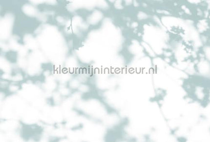 AS Creation Walls by Patel 3 DD122032 | Bestellen bij https://www.kleurmijninterieur.nl/