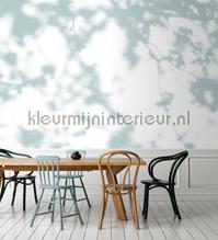 AS Creation Walls by Patel 3 DD122032 | Bestellen bij https://www.kleurmijninterieur.nl/