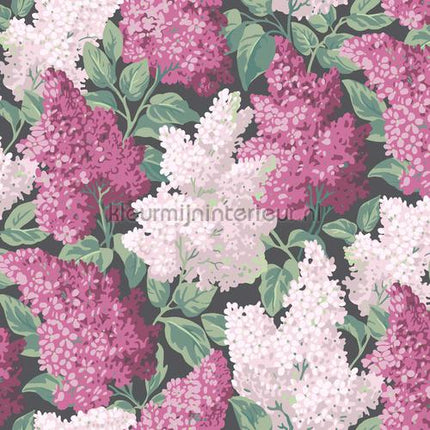 Cole and Son Botanical 115-1001 | Bestellen bij https://www.kleurmijninterieur.nl/