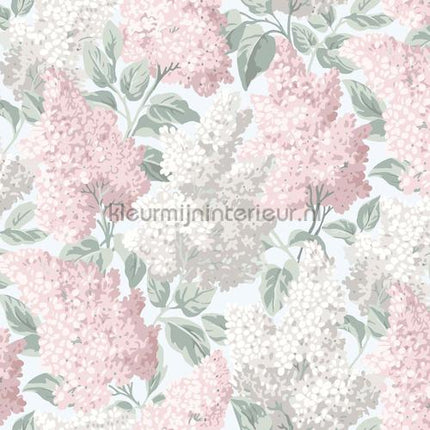 Cole and Son Botanical 115-1002 | Bestellen bij https://www.kleurmijninterieur.nl/
