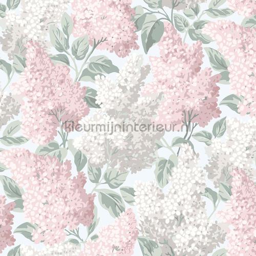 Cole and Son Botanical 115-1002 | Bestellen bij https://www.kleurmijninterieur.nl/