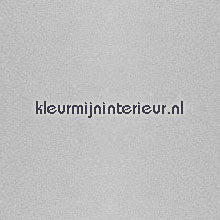 Lineafix Gekkofix collectie A01A1012 Zarame | Bestellen bij https://www.kleurmijninterieur.nl/