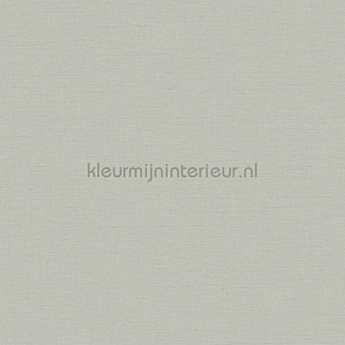 Dutch Wallcoverings Wall Fabric WF121055 | Bestellen bij https://www.kleurmijninterieur.nl/