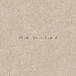 Dutch Wallcoverings Tapestry TP422903 | Bestellen bij https://www.kleurmijninterieur.nl/