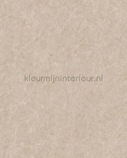 Dutch Wallcoverings Tapestry TP422903 | Bestellen bij https://www.kleurmijninterieur.nl/