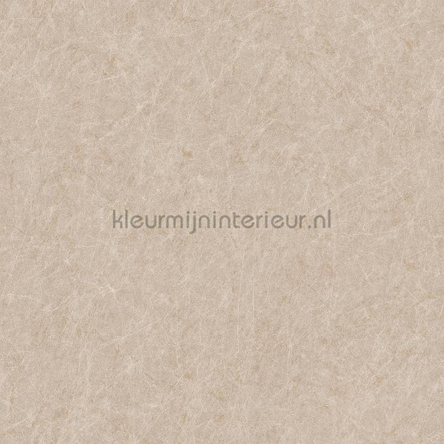 Dutch Wallcoverings Tapestry TP422903 | Bestellen bij https://www.kleurmijninterieur.nl/