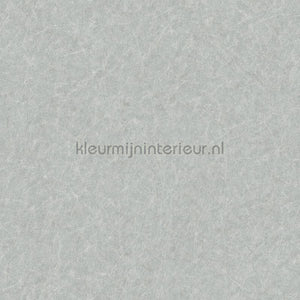 Dutch Wallcoverings Tapestry TP422906 | Bestellen bij https://www.kleurmijninterieur.nl/