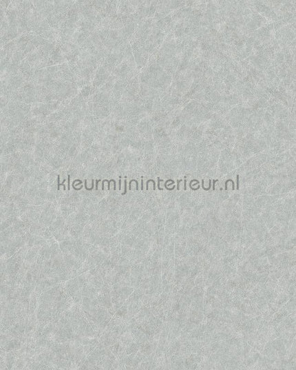 Dutch Wallcoverings Tapestry TP422906 | Bestellen bij https://www.kleurmijninterieur.nl/