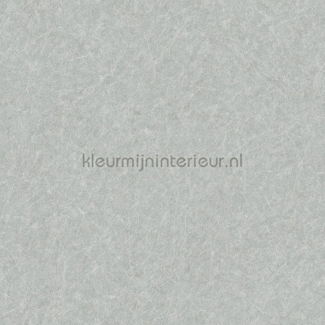 Dutch Wallcoverings Tapestry TP422906 | Bestellen bij https://www.kleurmijninterieur.nl/