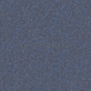 Dutch Wallcoverings Tapestry TP422908 | Bestellen bij https://www.kleurmijninterieur.nl/