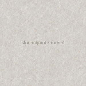 Dutch Wallcoverings Tapestry TP422905 | Bestellen bij https://www.kleurmijninterieur.nl/