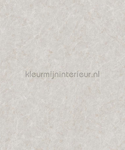 Dutch Wallcoverings Tapestry TP422905 | Bestellen bij https://www.kleurmijninterieur.nl/