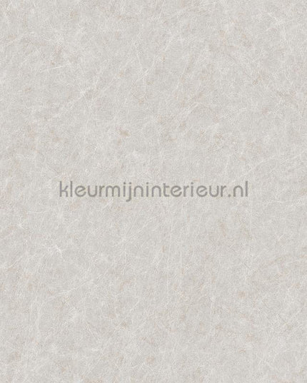Dutch Wallcoverings Tapestry TP422905 | Bestellen bij https://www.kleurmijninterieur.nl/