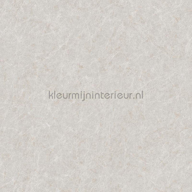 Dutch Wallcoverings Tapestry TP422905 | Bestellen bij https://www.kleurmijninterieur.nl/