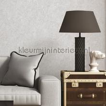 Dutch Wallcoverings Tapestry TP422905 | Bestellen bij https://www.kleurmijninterieur.nl/