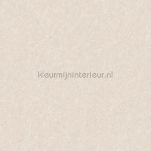 Dutch Wallcoverings Tapestry TP422902 | Bestellen bij https://www.kleurmijninterieur.nl/