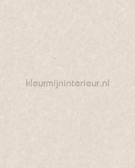 Dutch Wallcoverings Tapestry TP422902 | Bestellen bij https://www.kleurmijninterieur.nl/